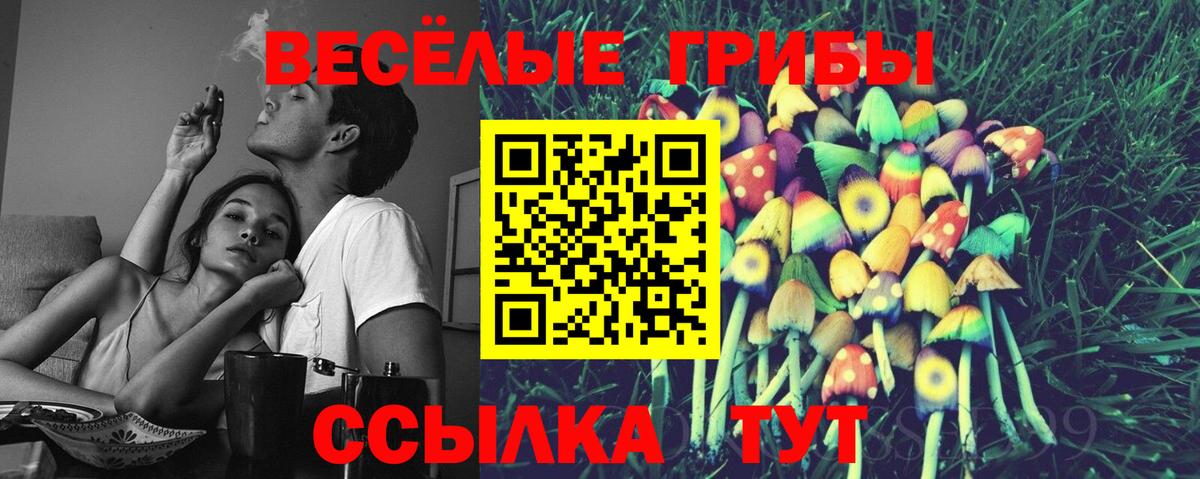 Южноуральск  Галлюциногенные грибы Psilocybine cubensis  Вход с VPN 