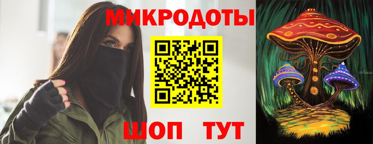 Галлюциногенные грибы Psilocybine cubensis Южноуральск